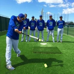 LINE DRIVE PRO Hitting Aid & Swing Trainer 12 LINE DRIVE PRO Hitting Aid & Swing Trainer -Cbc Pro Wood Sales LDP SWINGTRN 6 1