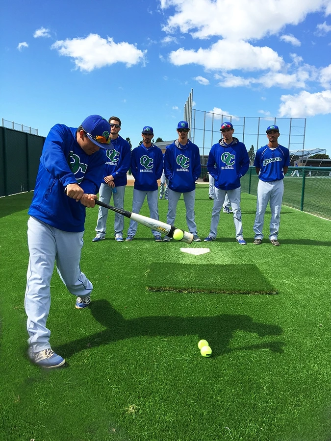 LINE DRIVE PRO Hitting Aid & Swing Trainer 7 LINE DRIVE PRO Hitting Aid & Swing Trainer - Image 5