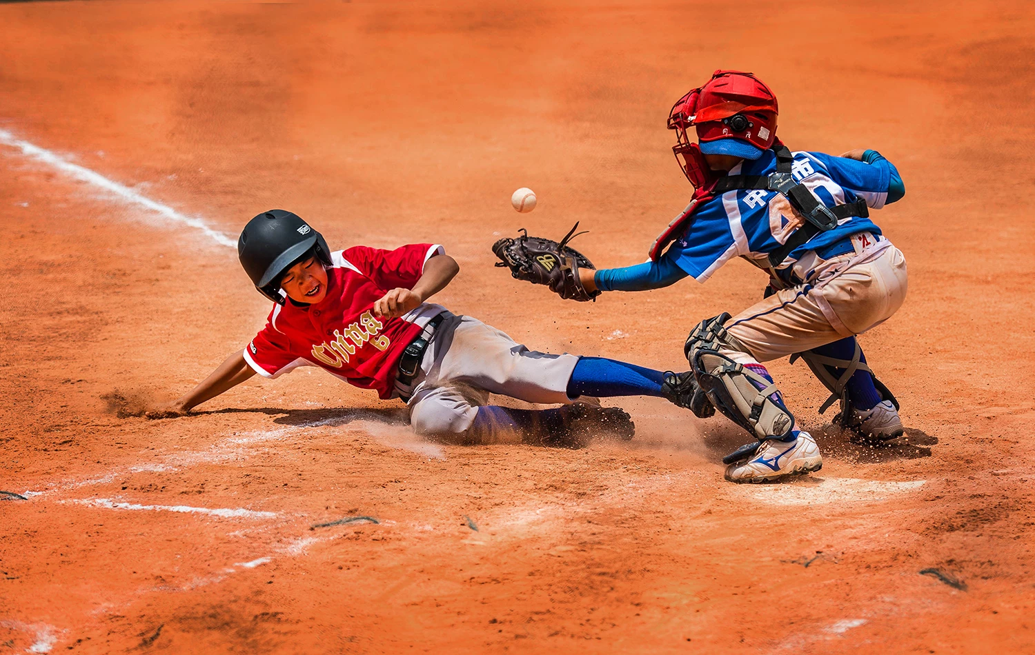 Cbc Pro Wood Sales -Cbc Pro Wood Sales 5a61c42b5b31c0194eb64c6b52974594